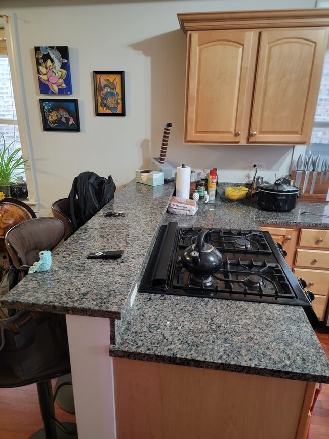 Foto del edificio - 7627 N Greenview Ave