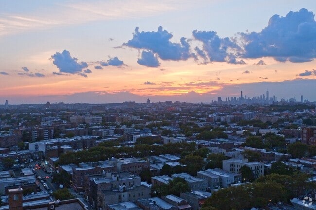 Brownsville Neighborhood Collection