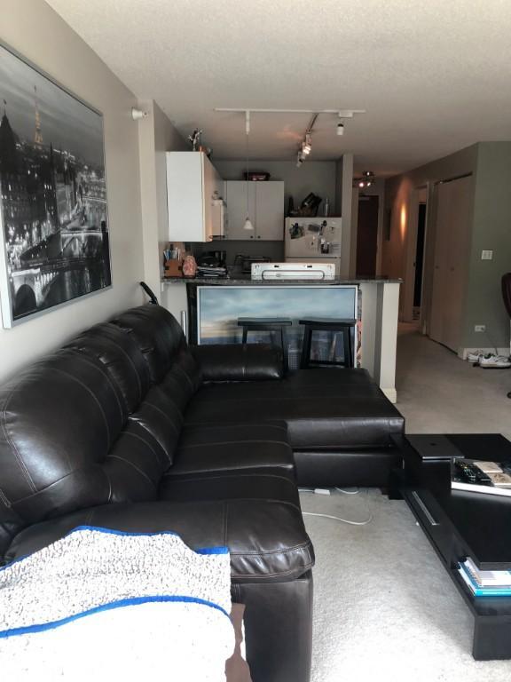 Building Photo - 0 bedroom in CHICAGO IL 60654