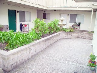 Building Photo - The Beachgate Apartments