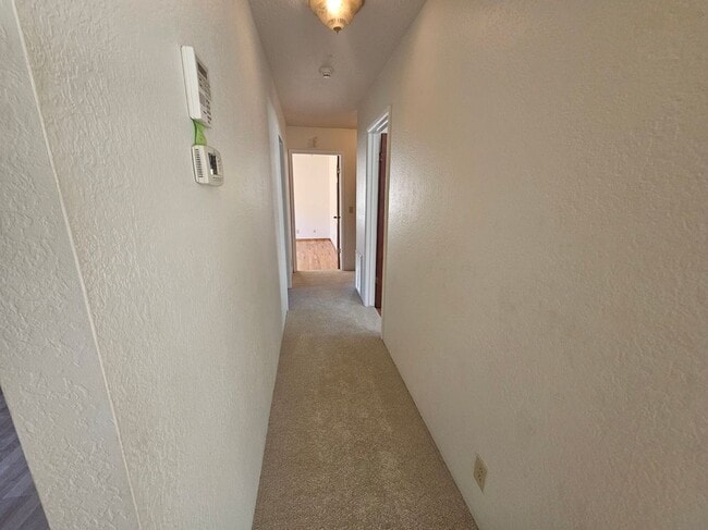 Building Photo - 4160 Williams St