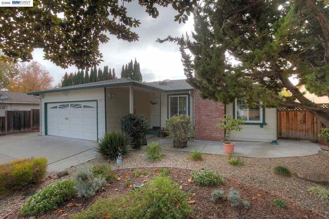 Building Photo - Beautiful Earthy Home Located Near Parks a...