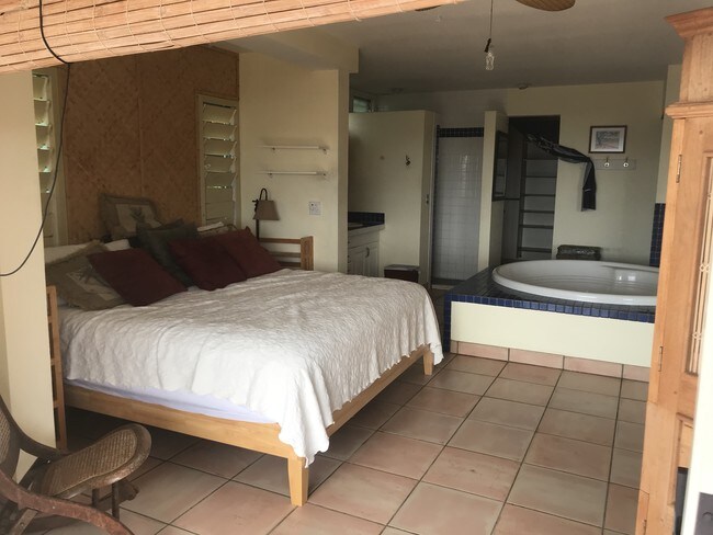 habitación principal con baño con hidromasaje - 1504 Halekoa Dr