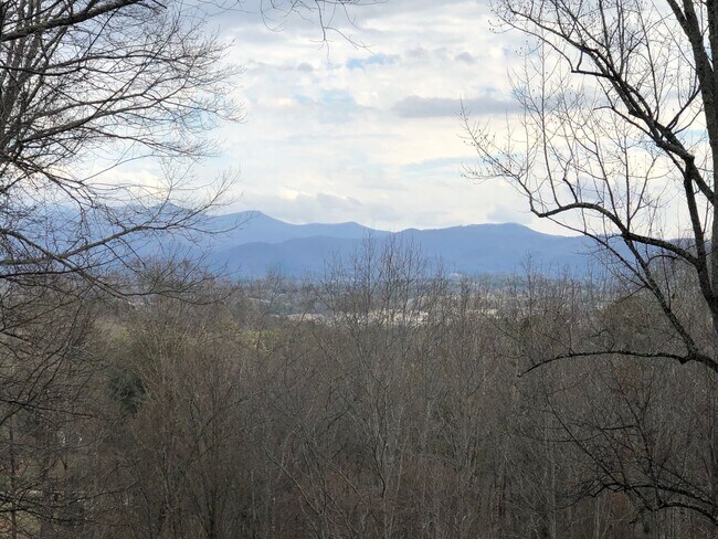 Building Photo - Adorable 2 Bedroom with Amazing Mountain Views!