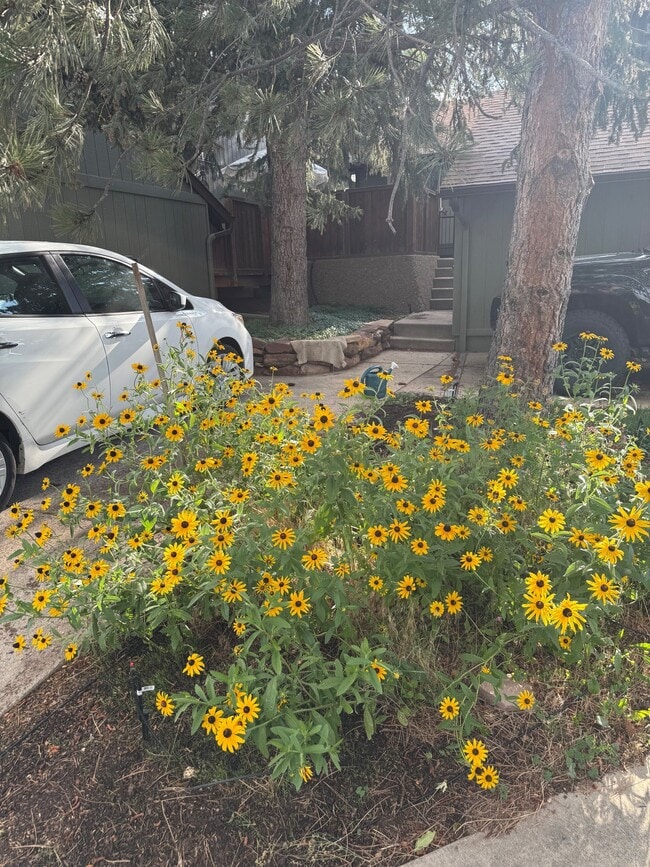 Building Photo - 4602 Greenbriar Ct