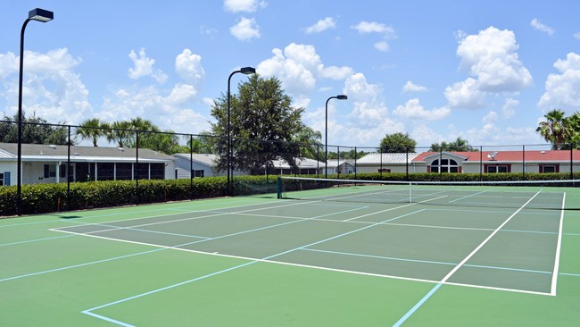 Cancha de tenis - Windmill Village