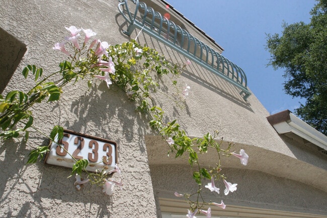 Building Photo - 5233 Manderston Dr - Beautiful Home Inside...