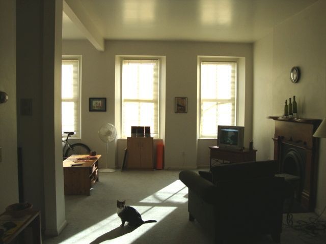 Foto del edificio - 820 Western Ave