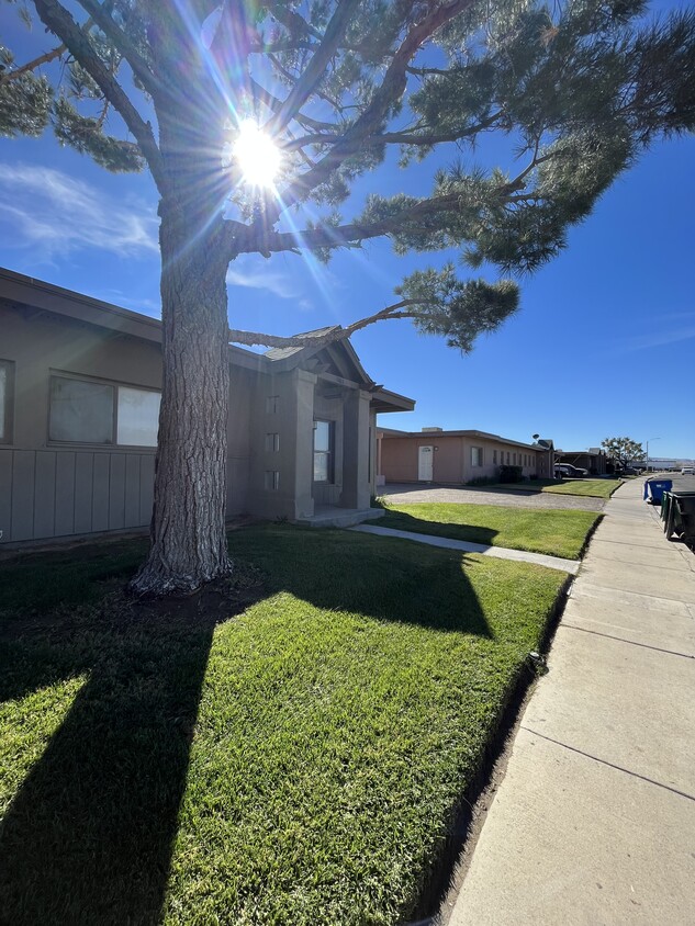 Building Photo - Desert Oasis Apartments