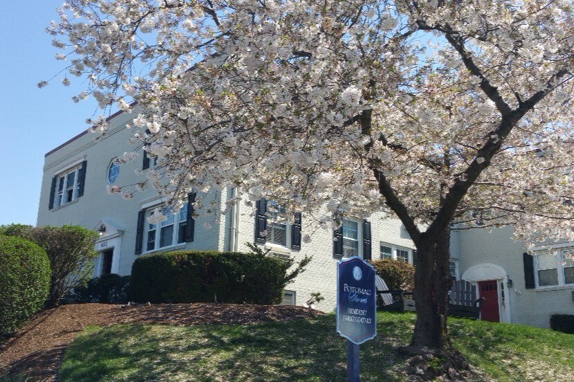 402 Bashford Ln, Alexandria, VA 22314 Condo for Rent in Alexandria