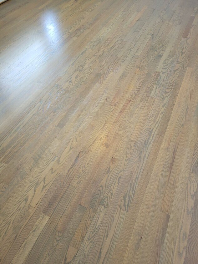 Foto principal - 3 bed 1 bath on Knob Creek Rd. near Johnso...