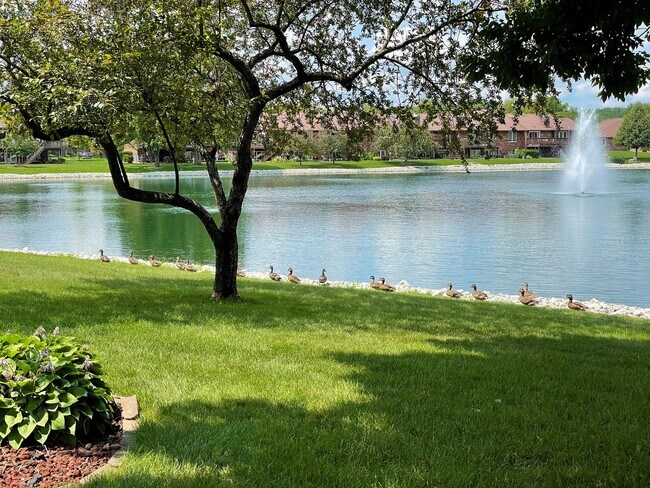 Foto del edificio - 8808 Clearview Dr