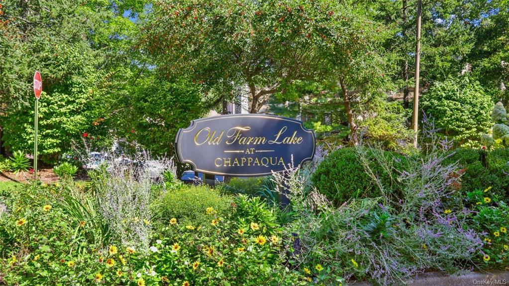 156 Birchwood Cl Unit 156, Chappaqua, NY 10514 Condo for Rent in