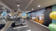 This fitness room is a thoughtfully designed exercise space that combines functional equipment with motivating visual elements. The room is finished with durable rubber flooring throughout, providing a practical surface suited for a variety of workouts. Recessed lighting illuminates the space evenly from above, creating a bright and energizing atmosphere.

The cardio section is well-stocked, featuring multiple elliptical trainers, treadmills, and a stationary bike, each equipped with individual display monitors. A full-length mirrored wall along one side visually expands the room while allowing users to monitor their form during exercise. A dumbbell rack with a complete set of free weights occupies one corner, and stability balls in yellow and green are available for functional training.

The most striking design feature is the large-scale photographic mural spanning an entire wall, depicting a cyclist navigating an outdoor trail against a backdrop of autumn foliage and a snow-dusted mountain landscape. Accented by a teal painted section, this mural adds a dynamic, outdoors-inspired energy to the space. A window at one end allows natural light to filter in, and a dedicated entry area with access doors provides a clear transition into the fitness space.