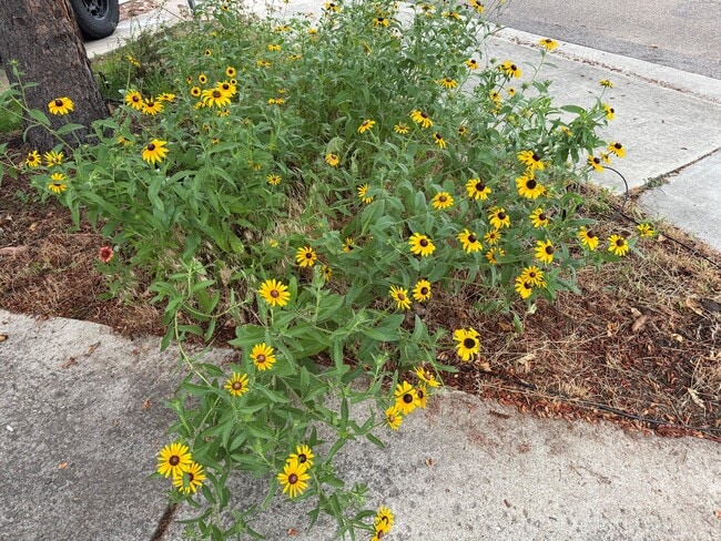 Building Photo - 4602 Greenbriar Ct