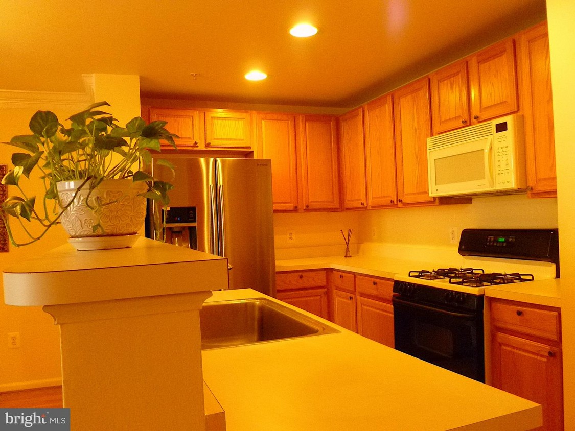 Foto principal - 42252 Black Rock Terrace