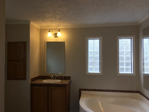 Building Photo - 3 BR 2 BA in Reva