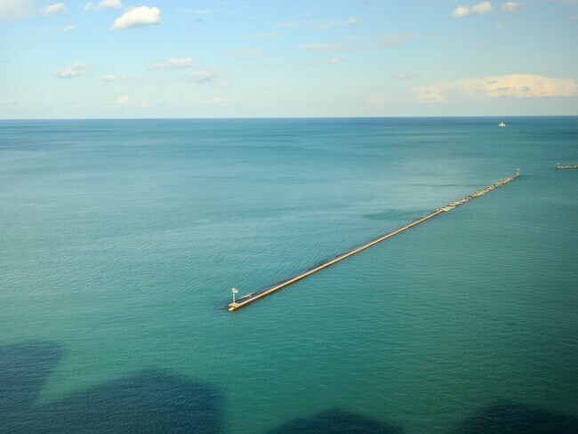 Building Photo - 900 N Lake Shore Dr
