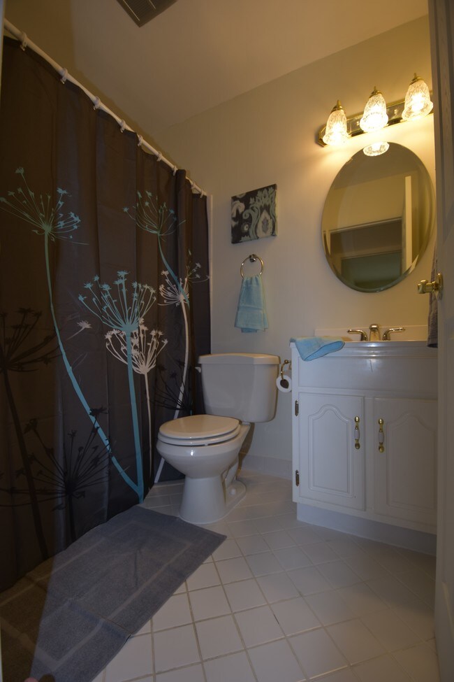 Upstairs bath - 1029 Cedar Ridge Ct