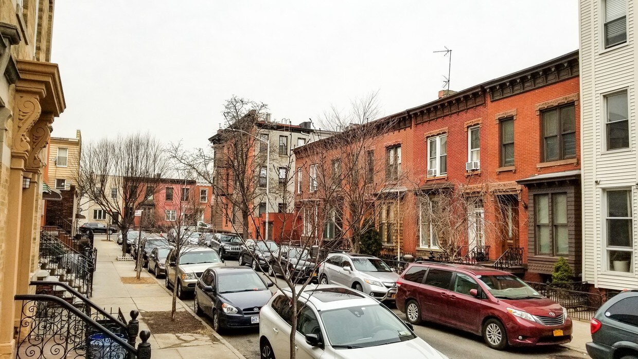 Primary Photo - 13 Clifford Pl