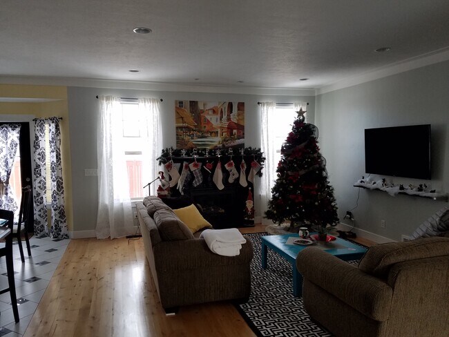 Living room - 864 Michie Lane
