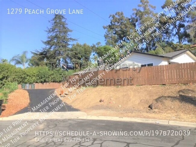 Building Photo - ***Newly Remodeled Mid-Century Modern 4 be...