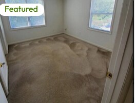 Foto principal - 1351 Crab Orchard Dr