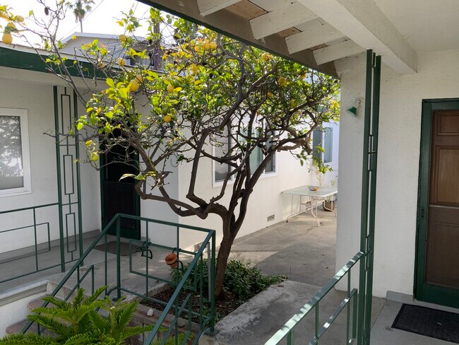 Fruit trees on property - 311 Bungalow Dr