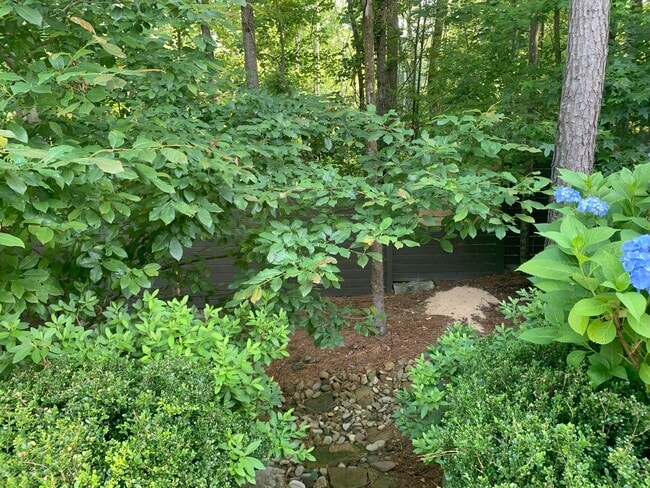 Private wooded rear yard - 423 Johnson Ct