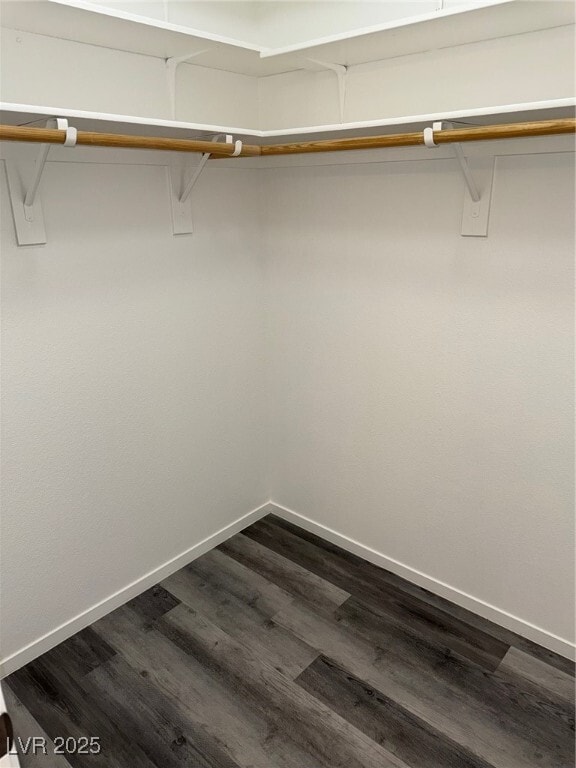 Building Photo - 6042 Peaceful Creek St