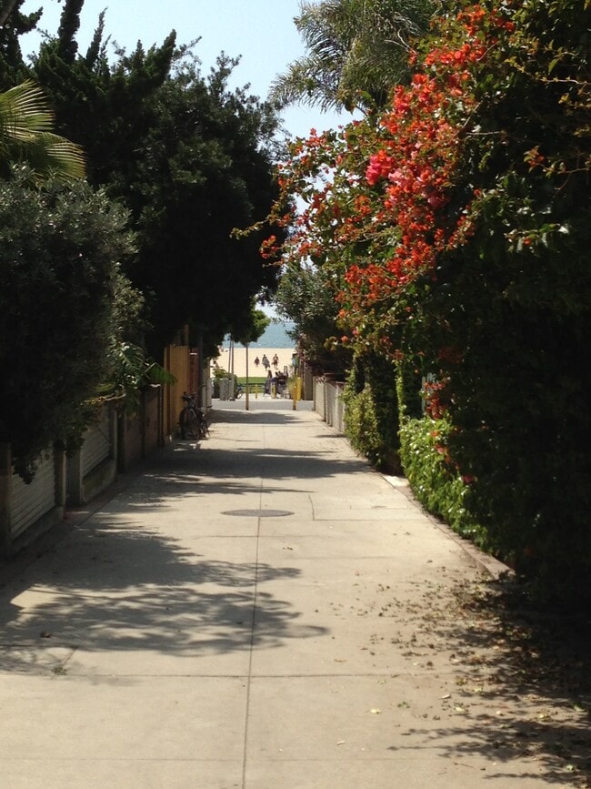 Walk Street outside front gate - 33 Paloma Ave