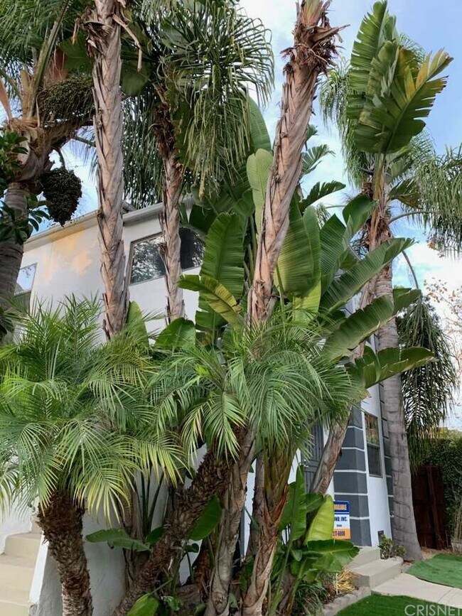 Foto del edificio - 1053 S Stanley Ave