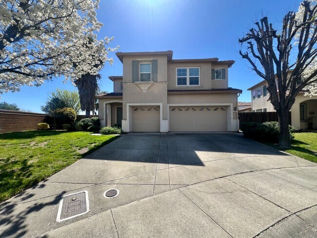 Building Photo - Huge Beautiful 5 bed/3 full bath home in N...