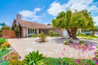 Building Photo - 4347 Avenida Soledad
