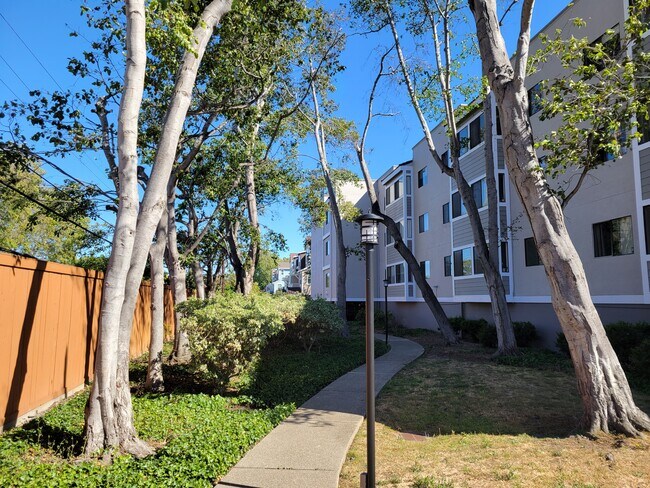 Exterior Back of Building - 240 N Bayshore Blvd