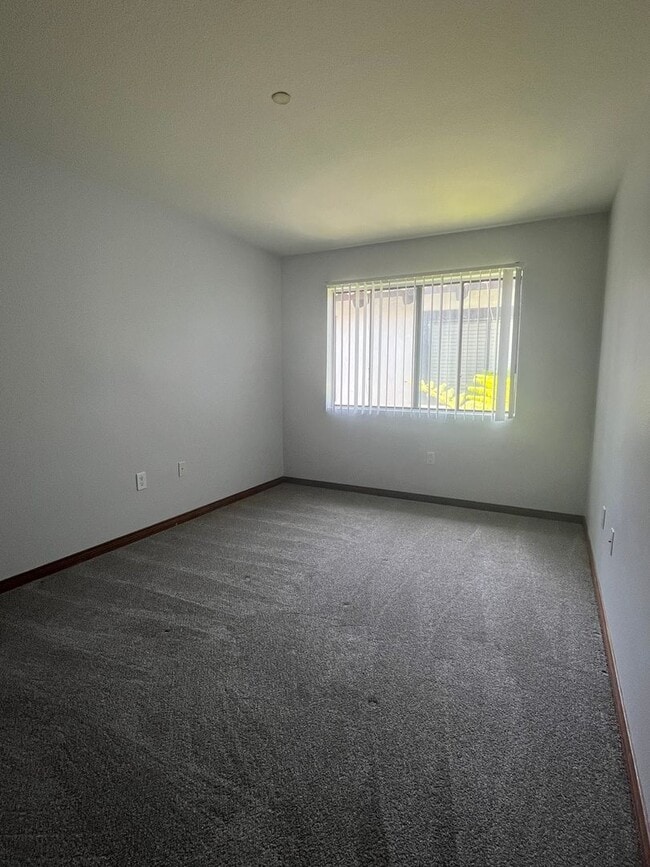 Photo - Los Caballeros #303 Apartment