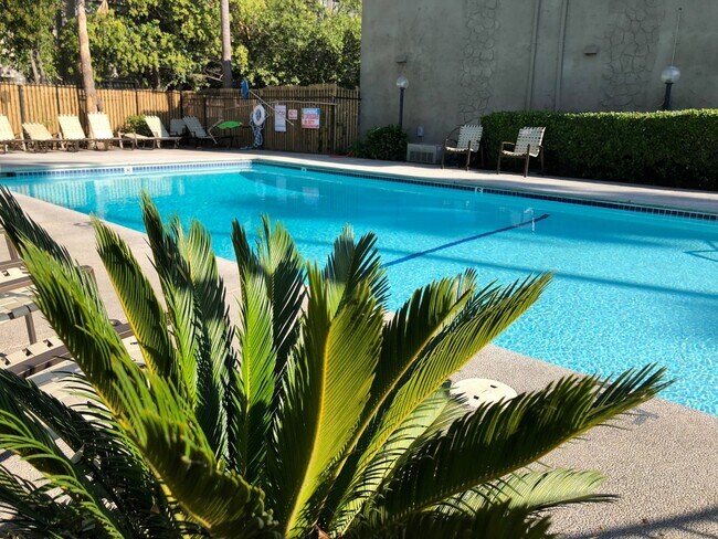 Foto del edificio - The Pointe Townhomes