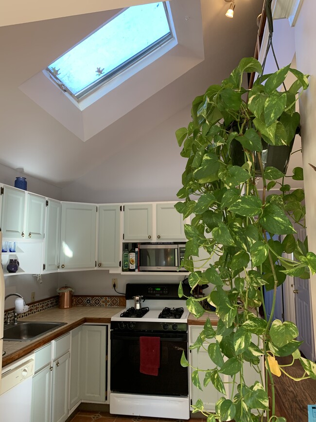 kitchen - 103 Ritchie Avenue