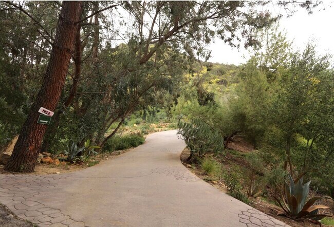 Driveway to the house - 2376 Old Topanga Canyon Rd