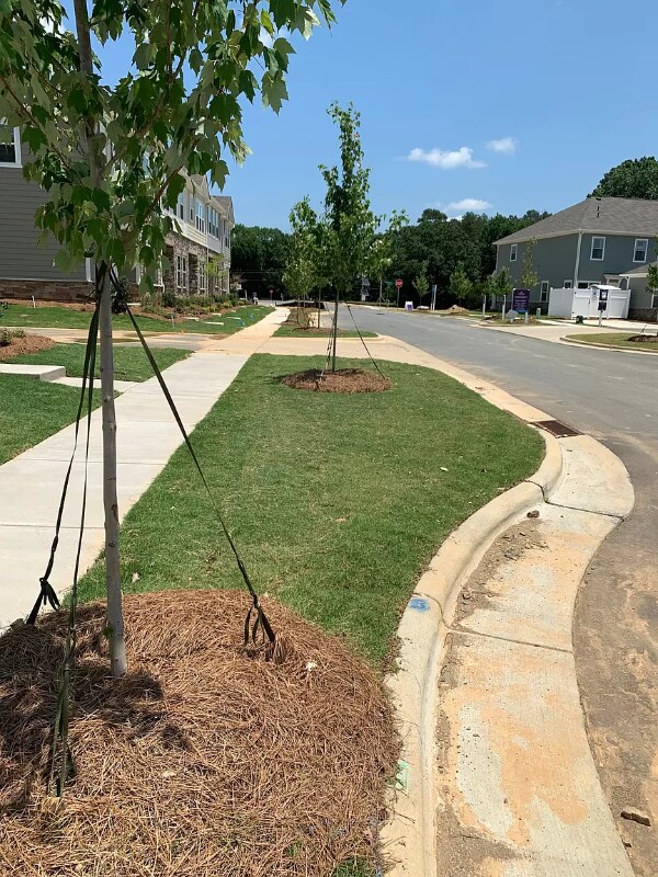 Building Photo - 322 Sagecroft Ln