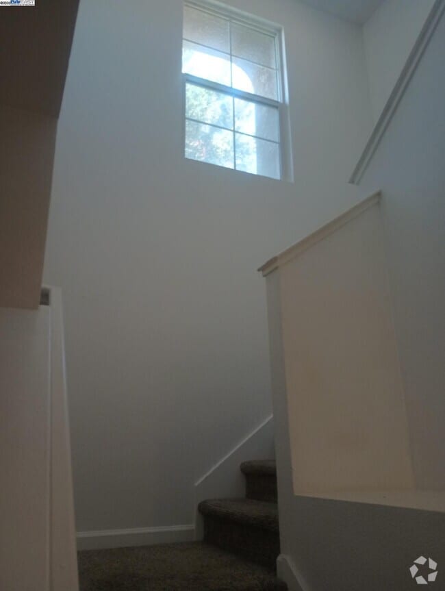 Building Photo - 3127 Puffin Cir