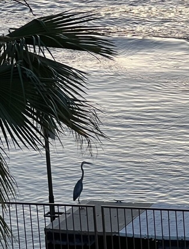 Building Photo - 2 BR WATERFRONT Fully Furnished/Utilities Included!! BEST SUNSET VIEW