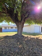 Building Photo - 1514 Hayden Ave