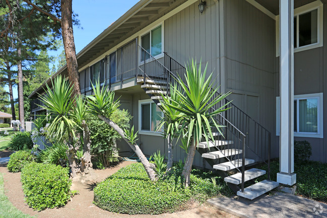 Building Photo - Monterey Pines Apartments