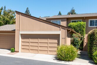 Building Photo - 1038 Whitebick Dr