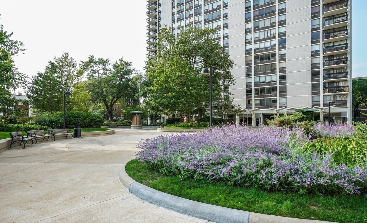 Nice 1 bedroom Condo in Gold Coast/Old Town - Nice 1 bedroom Condo in Gold Coast/Old Town