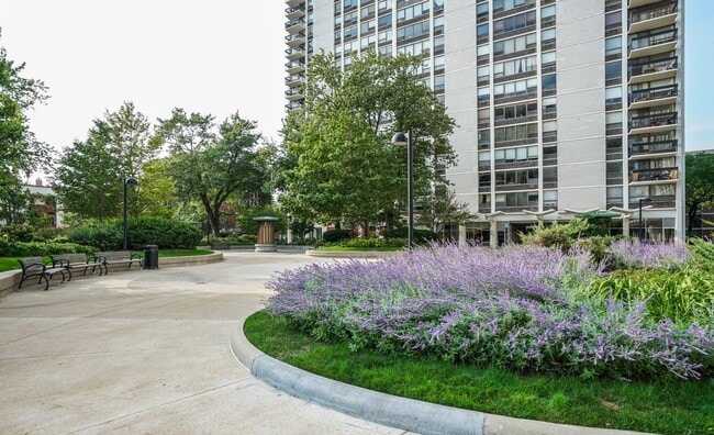 Nice 1 bedroom Condo in Gold Coast/Old Town - Nice 1 bedroom Condo in Gold Coast/Old Town