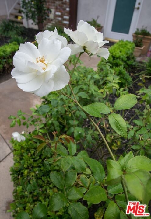 Building Photo - 8130 Redlands St