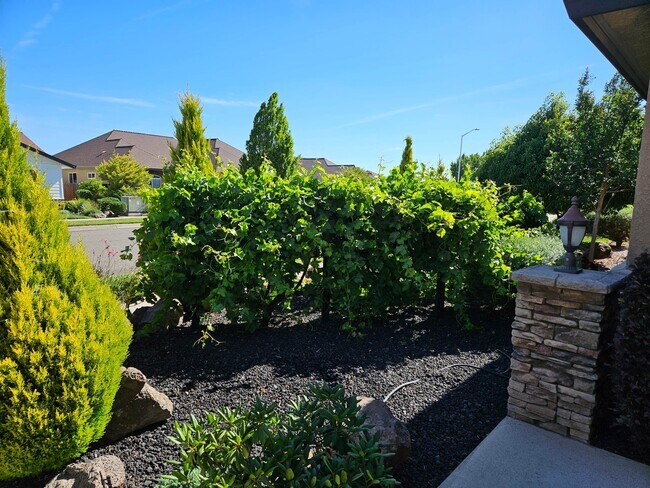 Building Photo - 651 Rogue River Way