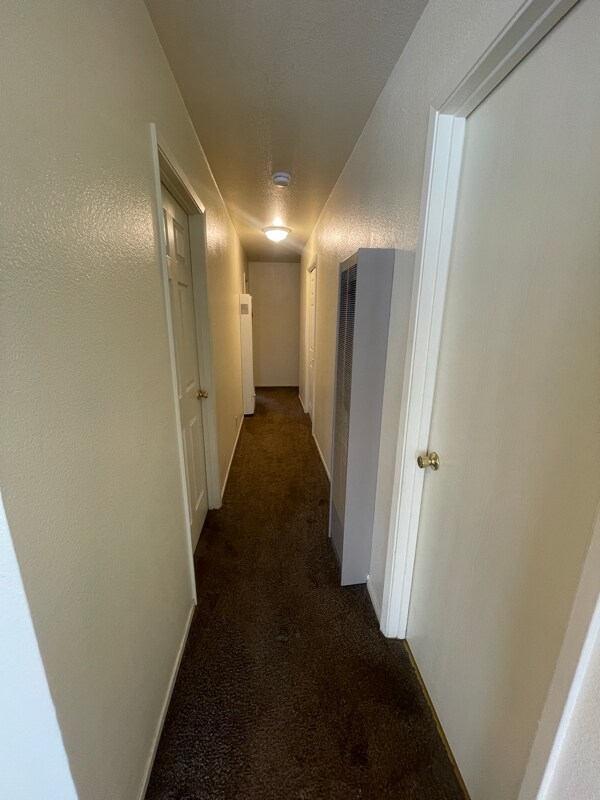 Building Photo - 132 Frisbie St